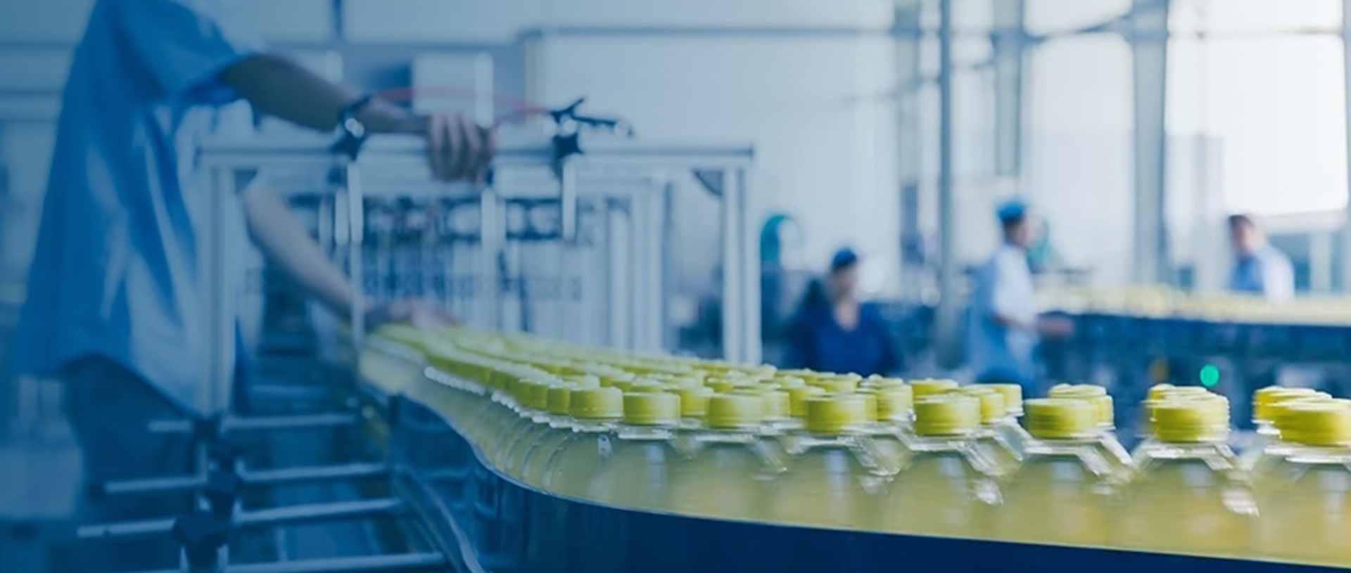 Krystalvision food inspection system